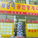 복덩이공인중개사