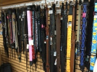 코이디아악기사