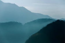 미르숲