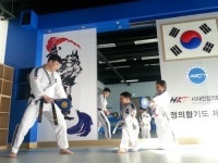정의합기도