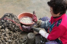 안면도작은수해마을펜션