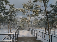 구시포 노을캠핑장