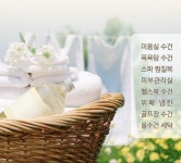백옥물세탁