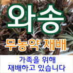 자연치유농장