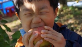행복한반석교육농장