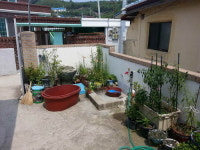 들꽃민박
