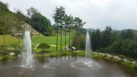 THE골프연습장