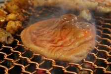 양타령