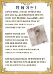 명품세탁