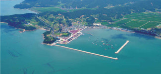 풍남항
