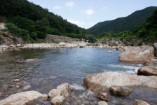 황금펜션