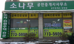 양평소나무공인중개사사무소