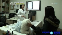 마린시티동물병원