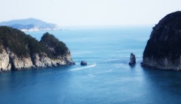 거제도소나무향기낚시펜션