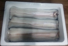 무진수산 풍천민물장어