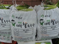 청천푸른식품