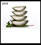 하카전자담배 춘천퇴계점