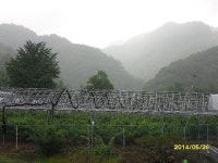 산막골 블루베리농장