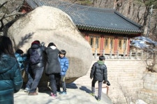대풍관광여행사