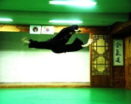 대한합기도경무관