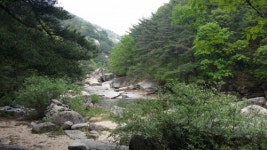 신선쉼터