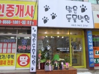 밝은동물병원