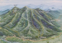 100억공인중개사사무소