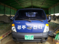 경주잔디