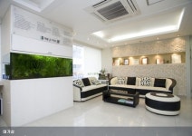 서울수치과의원