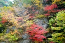 광덕산 산골농원 주말농장