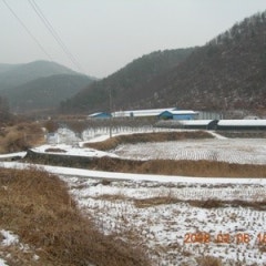 한몸교회