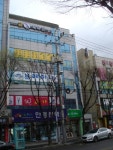 곰체육관
