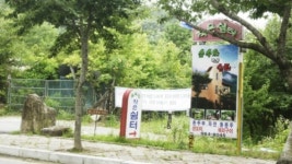 숲속의작은쉼터