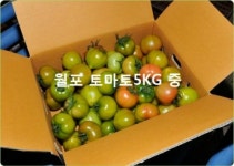월포토마토농장