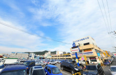 진흥자동차상사
