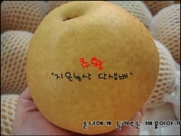지은농산