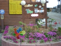 알파빌펜션타운