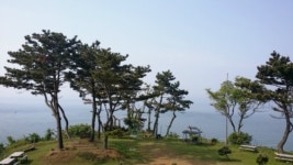 보물섬마루펜션