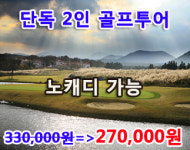 에이스투어