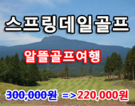 에이스투어