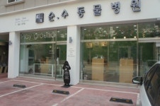순수동물병원