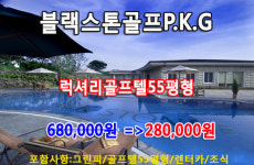 에이스투어