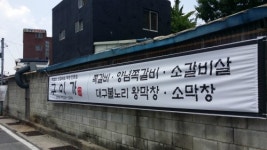 구이가쪽갈비