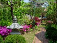 다사랑펜션