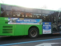 국제드림항공여행사