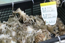 총각수산