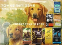 개와톡하는독한사람들