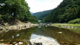 예다움캠핑장