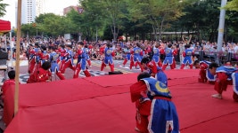 용인대 박사 태풍태권도