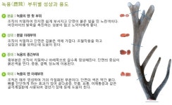 석우사슴농장